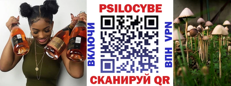 Галлюциногенные грибы Psilocybe где продают наркотики OMG ССЫЛКА Казань